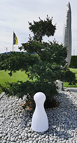 Trango 7235L IP65 LED Leucht-Figur inkl. 1x warmweiß E27 LED Leuchtmittel Spielfigur Gartenlampe *HALMA* 62cm Hoch in weiß inkl. ca. 5 Meter Zuleitungskabel Außenlampe, Gartenstrahler, Leucht-Kegel von Trango