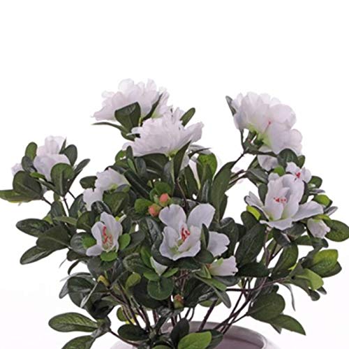 Trauer-Shop Azalee Creme Kunstpflanze mit Stecker. Länge 20 cm von Trauer-Shop