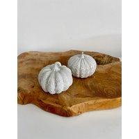 Set Kürbis Kürbisse Pumpkin Herbst Deko Dekoration Raysin Scandi Skandi Nordic Figur Skulptur Statue Beton Concrete Cozy von TraumRaumShop