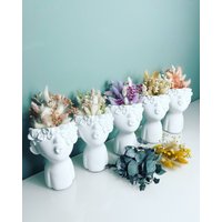 Trockenblumendeko, Blumentopf 18cm, Blumenmädchen, Vase, Büste, Planzentopf Kussmund von TraumUnikate