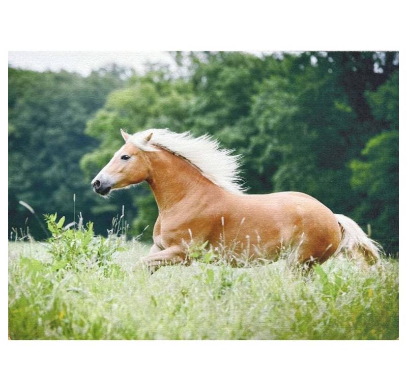 Traumduft-Manufaktur Platzset Haflinger, (1-St), Platzdeckchen Deko-Set Unterlage waschbar von Traumduft-Manufaktur