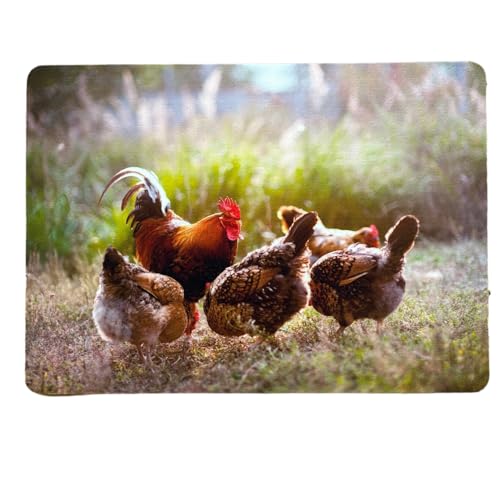 Traumduft Dekoset Tischset Platzdeckchen Platzset Marijo waschbar 40 x 30 cm, Set Größe:2 er Set von Traumduft