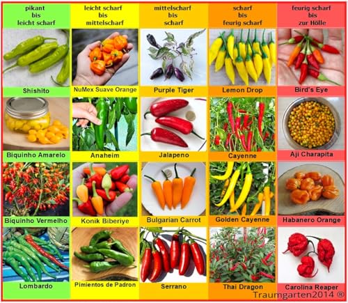 Chili Set 20 Sorten Samen Saatgut einzelnd verpackt von pikant bis extrem scharf aus aller Welt Peperoni von Traumgarten2014 das Original Saatgut