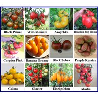 Tomaten Set 4 Tomatensamen - Samenfest & Kältetolerant 12 Seltene Sorten Saatgut Angebaut in Deutschland von Traumgarten2014