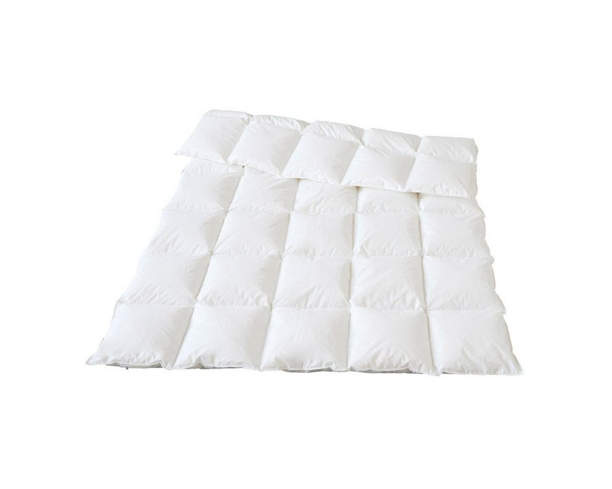 Traumina Daunenbettdecke Plume, Füllung: 100% Gänsedaunen und -federn (Bio), Bezug: Baumwolle, Ganzjahresbettdecke Traumina Daunenbettdecke Plume, Füllung: 100% Gänsedaunen und -federn (Bio), Bezug: Baumwolle, Ganzjahresbettdecke von Traumina