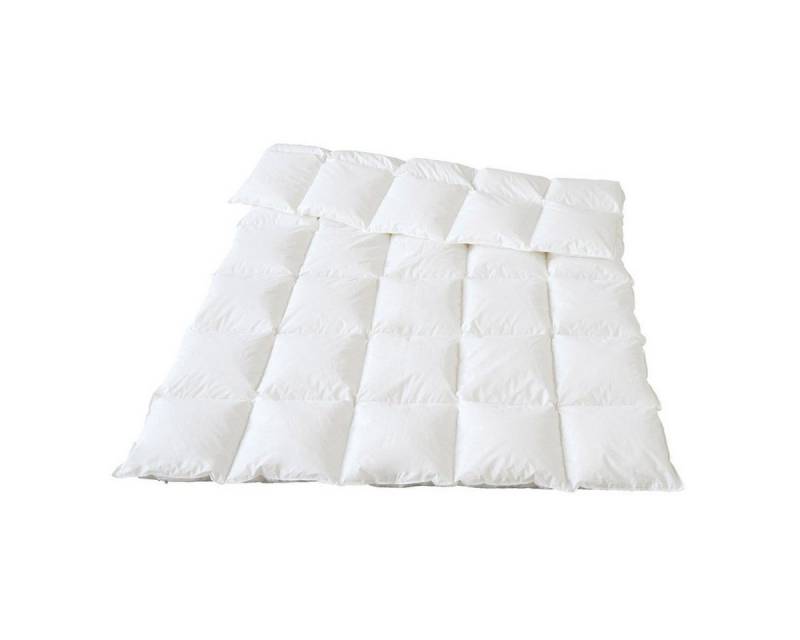 Traumina Daunenbettdecke Plume, Füllung: 100% Gänsedaunen und -federn (Bio), Bezug: Baumwolle, Ganzjahresbettdecke Traumina Daunenbettdecke Plume, Füllung: 100% Gänsedaunen und -federn (Bio), Bezug: Baumwolle, Ganzjahresbettdecke von Traumina