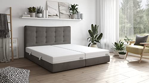 Traumnacht Basic 2 in 1 Duo - orthopädische 7- Zonen Kaltschaummatratze, Härtegrad 2 und 3, Öko-Tex zertifiziert 100 x 200 cm, Höhe 12 cm, produziert nach deutschem Qualitätsstandard Traumnacht Basic 2 in 1 Duo - orthopädische 7- Zonen Kaltschaummatratze, Härtegrad 2 und 3, Öko-Tex zertifiziert 100 x 200 cm, Höhe 12 cm, produziert nach deutschem Qualitätsstandard von Traumnacht