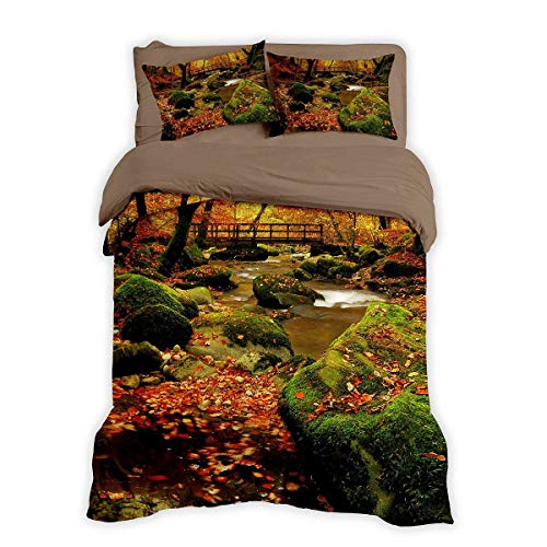 Traumschlaf Bettwäsche Herbstwald 1 Bettbezug 155 x 220 cm + 1 Kissenbezug 80 x 80 cm von Traumschlaf