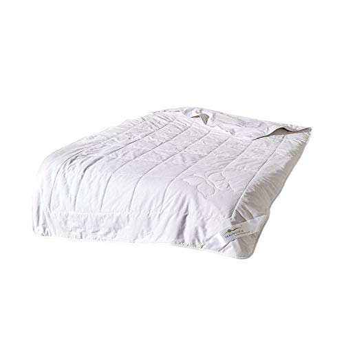 Traumschlaf Premium Sommer Seidendecke leicht Füllung: 100% Seide 155x200 cm Traumschlaf Premium Sommer Seidendecke leicht Füllung: 100% Seide 155x200 cm von Traumschlaf
