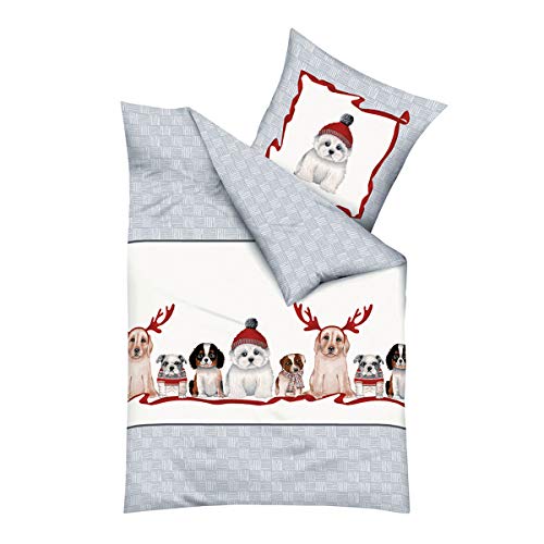 Traumschlaf niedliche Biber Bettwäsche Dogs aus 100% Baumwolle mit Reißverschluss 135x200 cm + 80x80 cm Traumschlaf niedliche Biber Bettwäsche Dogs aus 100% Baumwolle mit Reißverschluss 135x200 cm + 80x80 cm von Traumschlaf