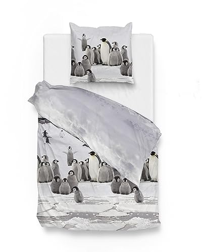 Traumschloss Classic Flanell Wende-Bettwäsche »Tadzio« Pinguine, 155x220 & 80x80, 100% Baumwolle, wärmend & kuschelig, mit Reißverschluss, bestehend aus Kissen und Bettbezug von Traumschloss