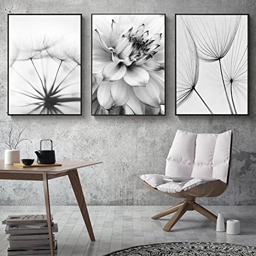 Trayosin 3-teiliges Premium Poster Set Aesthetic Blume Schwarz Weiß Feder Löwenzahn Bilder Moderne Wandbilder, Wohnzimmer Schlafzimmer Wanddeko Art ohne Rahmen (B,50x70cm) von Trayosin