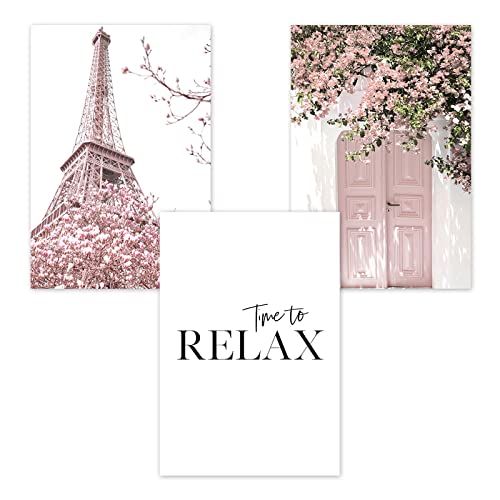 Trayosin Wandbilder Wohnzimmer 3er Premium Set Boho Rosa Pampasgras Poster Wandbilder Deko Bilder, Bilder Wanddeko Schlafzimmer, ohne Rahmen (B,30x40cm) von Trayosin
