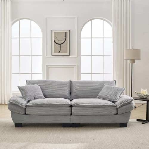 Trdlpyn 2-Sitzer-Sofa, gepolstertes Möbelstück, 2-Sitzer-Sofa mit Kissen, Wohnzimmer-Sofa mit Rückenlehne, Doppelsofas für Wohnzimmer/Schlafzimmer/Büro, Hellgrau von Trdlpyn