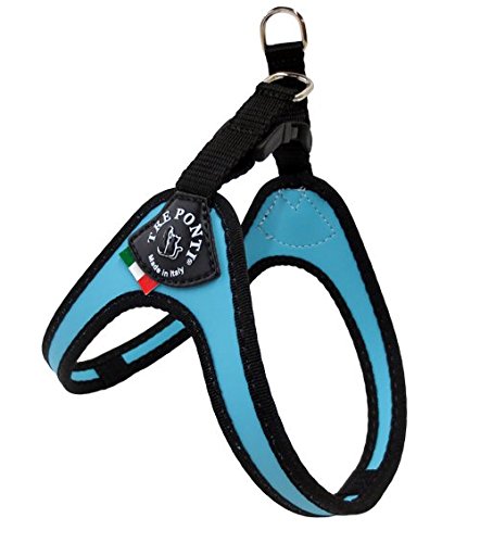 Tre Ponti Geschirr Easy Fit Classic scharzer Rand mit Click-Verschluss hellblau 33 - 37 cm bis ca. 5 kg von Tre Ponti