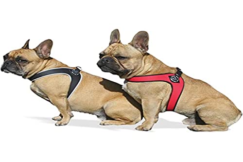 Tre Ponti Geschirr für Hunde / Farbe Rot / Gr.2 bis ca. 5kg Brustumfang 33-37cm von Tre Ponti