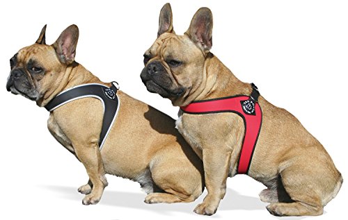 Tre Ponti Geschirr für Hunde / Farbe Schwarz / Gr.2 bis ca. 5kg Brustumfang 33-37cm von Tre Ponti