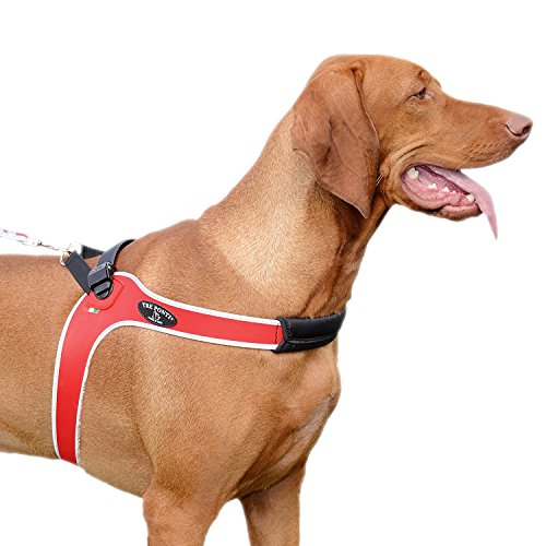 Tre Ponti - Hundegeschirr Ratschenverschluss, Rot, reflektierend, Größe 4,5 Tre Ponti - Hundegeschirr Ratschenverschluss, Rot, reflektierend, Größe 4,5 von Tre Ponti
