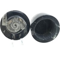 Ammonit Goniatit Orthoceras Fossil Stein Dose Echte 400 Millionen Jahre Alt Ammonit Goniatit Orthoceras Fossil Stein Dose Echte 400 Millionen Jahre Alt von TreasureStreamCo