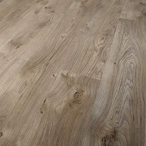 TRECOR® Dryback Vinylboden massiv zum Kleben - Holzdekor - 2 mm Stark (Trend Oak Nature, Vinylboden Musterstück) von Trecor