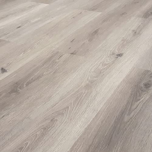 TRECOR® Dryback Vinylboden massiv zum Kleben - Holzdekor - 2 mm Stark (Eiche Silver, Vinylboden 1 qm) von Trecor