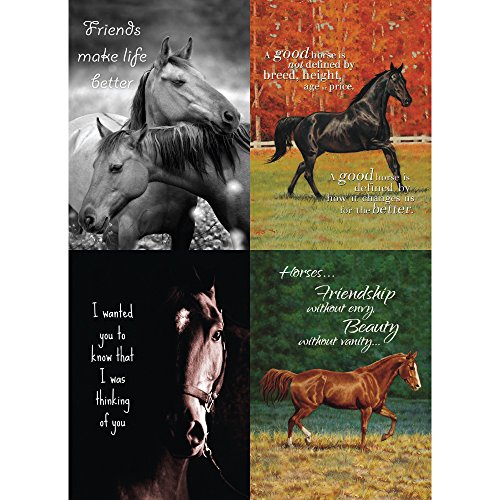 Freundschaft Horse Lovers Karte Sortiment, 12,7 x 17,8 cm, 8 Karten und Umschläge Pro Set (ga31615) von Tree-Free Greetings