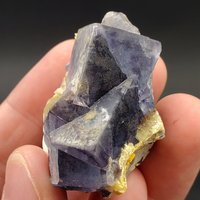 Blauer Und Lila Phantom Fluorit Kristall Cluster Mit Baryt Aus Yindu, Innere Mongolei, Fluoreszent 54.9 Gramm von TreeFortBazaar