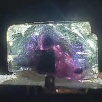 Phantom Fluorit Kristall Aus Yindu Mine, Innere Mongolei, Fluoreszierend, Kommt Mit Vitrine, 13, 7 Gramm von TreeFortBazaar