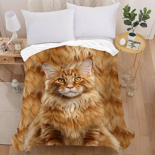 Treer Kuscheldecke Flanell Decke Überwurf - 3D Hündchen Wohndecke Weiche Mikrofaser Fleecedecke als Sofadecke, Couchdecke, Sofaüberwurf, Bettüberwurf, Tagesdecke (Orangene Katze,150X200cm) von Treer-shop