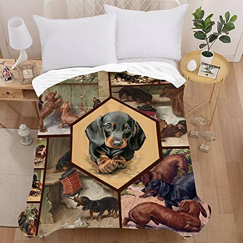 Treer Kuscheldecke Flanell Decke Überwurf - 3D Hund Druck Wohndecke Weiche Mikrofaser Fleecedecke als Sofadecke, Couchdecke, Sofaüberwurf, Bettüberwurf, Tagesdecke (150X200cm,Dackel) von Treer-shop