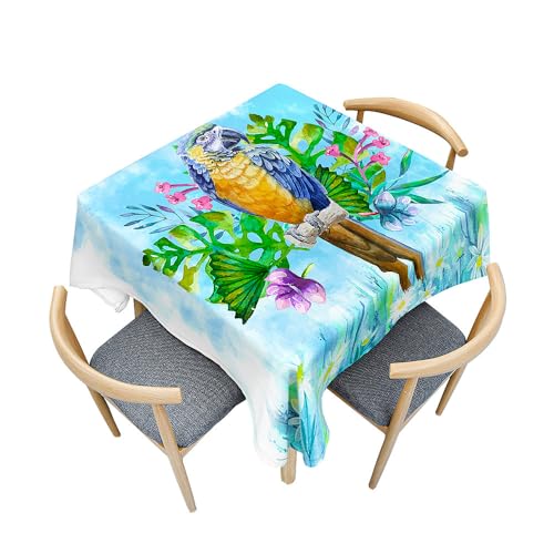 Treer Mehrfarbiger Papagei Eckig Tischdecke, Tischdecke Abwaschbar, Tischdecken Haben Lotuseffekt, Abwischbare Tischdecke für Picknick Couchtisch Hochzeiten Haushalt (90x90cm,Grün) von Treer