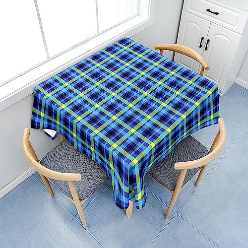 Treer Tischdecke Abwaschbar, Karierter Druck Tischdecke Polyester, Abwischbare Tischdecke für Küchendekoration, Eckig Tablecloth Picknick im Freien (150x150cm,Blau) von Treer