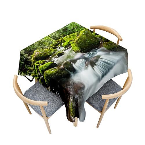 Treer Wasserfall-Druck Eckig Tischdecke, Tischdecke Abwaschbar, Tischdecken Haben Lotuseffekt, Abwischbare Tischdecke für Picknick Couchtisch Hochzeiten oder Haushalt (60x60cm,Wasserfall 3) von Treer