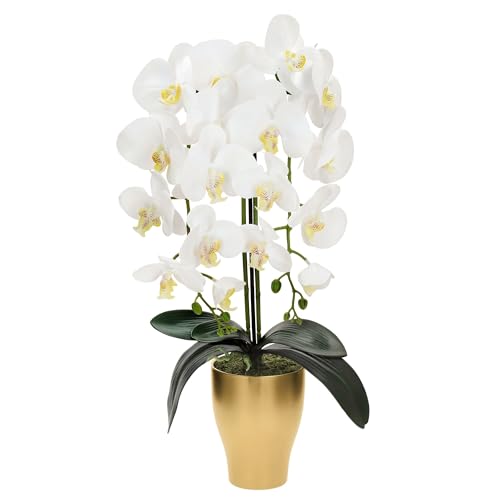 TreesHouse Premium Künstliche Orchidee XL (ca. 60cm) I Wie Echt I Blumen Deko I Im Topf I Hergestellt in der EU I 2 Stängel - 18 Blüten I Weiß (Moss) von TreesHouse