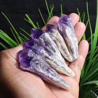 5stk Natürlicher Skelett Amethyst Kristall Zepter, Brizil Kristallstab Spitze, Jahrestag Geschenk, Kristall Exemplare B1299 von TreestonesByLunas