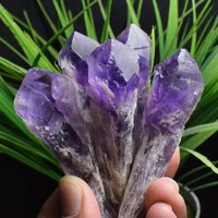 5stk Natürlicher Skelett Amethyst Kristall Zepter, Brizil Kristallstab Spitze, Jahrestag Geschenk, Kristall Exemplare B1301 von TreestonesByLunas