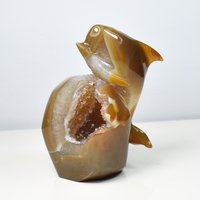 Achat Karneol Geode Delfin Schädel Hand Geschnitzte Kristall Schnitzen von TreestonesByLunas