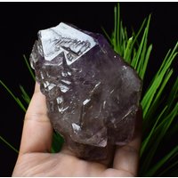 Rauchskelett Elestial Amethyst Quarz Kristall, Amethyst Bergstein, Mineral Exemplare, Rock Collection P037 Rauchskelett Elestial Amethyst Quarz Kristall, Amethyst Bergstein, Mineral Exemplare, Rock Collection P037 von TreestonesByLunas