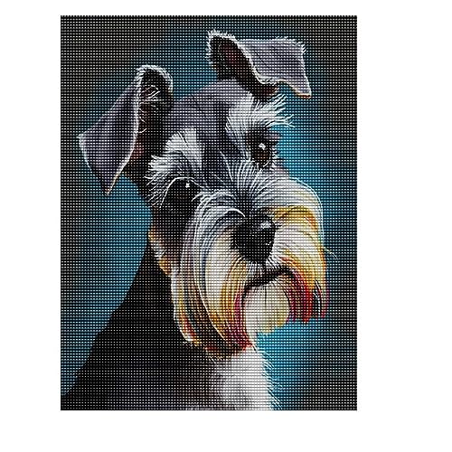 Diamantmalerei f?r Erwachsene, Schnauzer Hund, Diamantkunst mit Zubeh?r und Werkzeug, Wanddekoration, Basteln, Entspannung und Heimwanddekoration, 20,3 x 30,5 cm von Treff