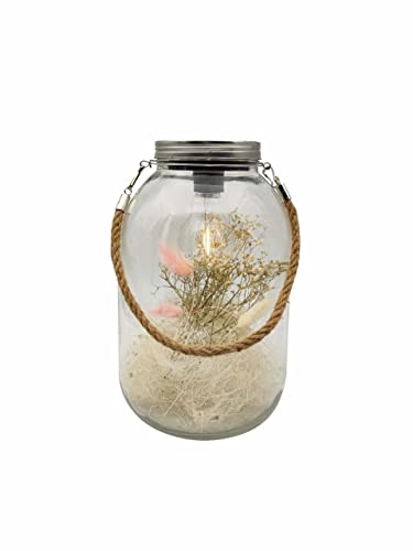 Trend Line Deko Glas LED mit Trockenblumen 16 x 26 cm Deko-Accessoires von Trend Line