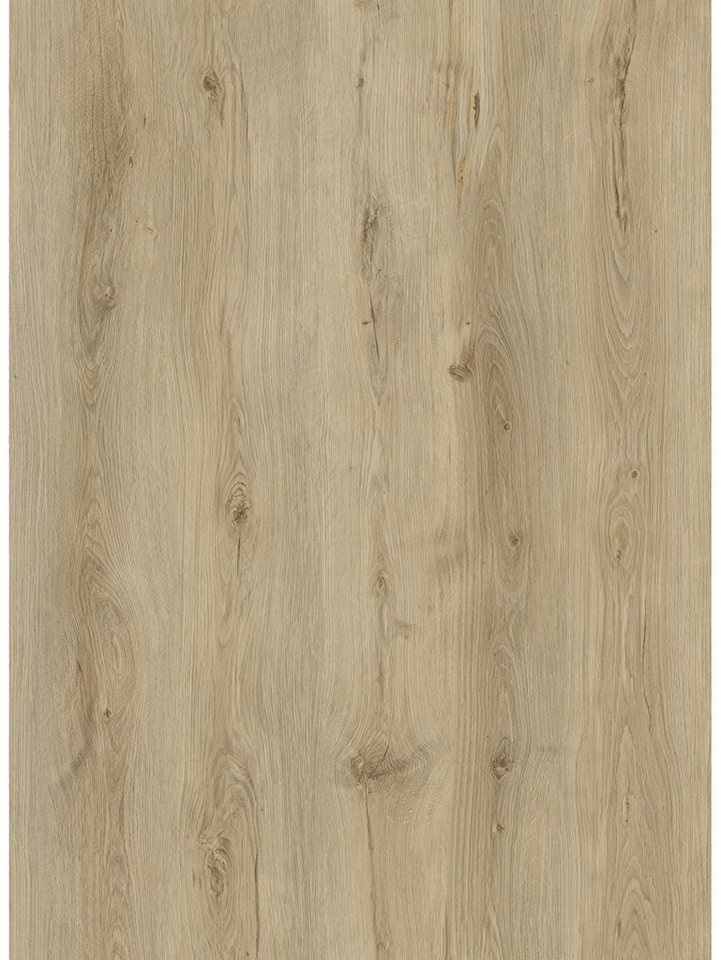 Trend Line Vinylboden TrendLine Vinylboden Eiche Landhausdiele mit von Trend Line