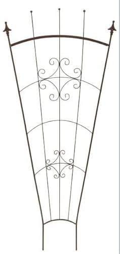TrendLine Rankgitter 75x180cm 75 x 180 cm Spaliere von Trend Line