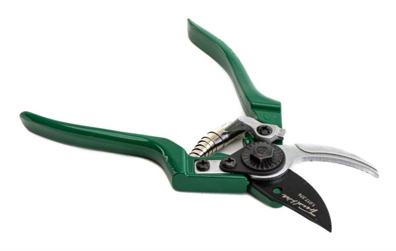 TrendLine Gartenschere 20 cm grün TrendLine Gartenschere 20 cm grün von TRENDLINE