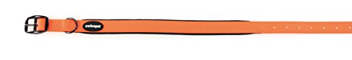 TrendLine Neon Halsband 15mm orange von TrendLine