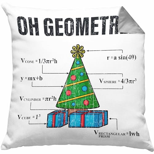 Trendation - Mathe Mathelehrer Kissen Mathematiker Geschenk Geometree Spruch Physik Physiker Geschenkidee Weihnachten Geschenke Physiklehrer mit Füllung 40x40 (Grau) von Trendation