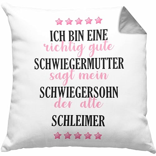 Trendation - Schwiegermutter Geschenke Geburtstag Lustiger Spruch für Schwiegermama Ich Bin Eine Richtig Gute Schwiegermutter Muttertag Dekokissen mit Füllung 40x40 (Grau) von Trendation