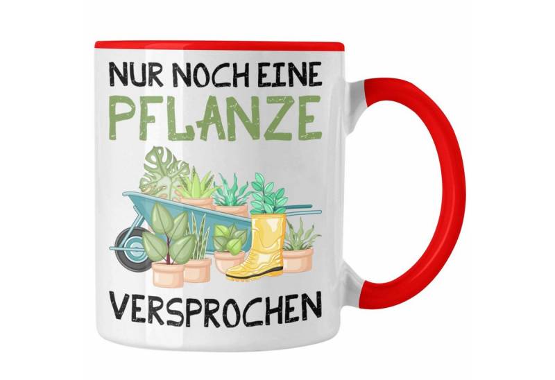 Trendation Tasse Nur Noch Eine Pflanze Versprochen Gärtner Tasse Geschenk Garten Hobbyg Trendation Tasse Nur Noch Eine Pflanze Versprochen Gärtner Tasse Geschenk Garten Hobbyg von Trendation