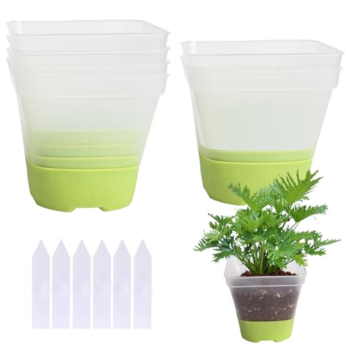 Trendecor 6 Stück Anzuchttöpfe, Pflanztöpfe Transparent mit Silikonsockel 8cm mit 6 Pflanzetiketten Wiederverwendbar Blumentöpfe aus Kunststoff für Sukkulenten Samen Setzlinge Grün von Trendecor