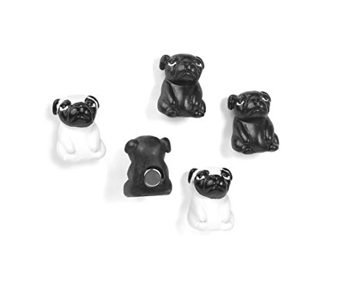 Magnete Duke 5er Set assortiert von Trendform