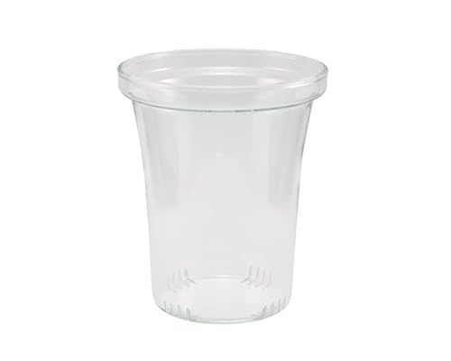 trendglas JENA 400217 Ersatzteile Glassieb, Größe L, 1 Stück trendglas JENA 400217 Ersatzteile Glassieb, Größe L, 1 Stück von Trendglas Jena